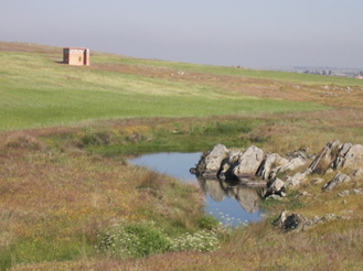 Landschap